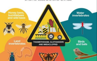 The Decline of Insect Populations: The Impact of Neonicotinoids