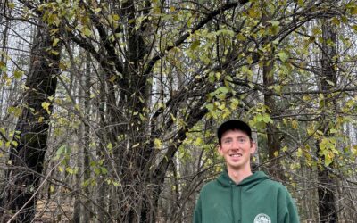 Buckthorn in our Forests