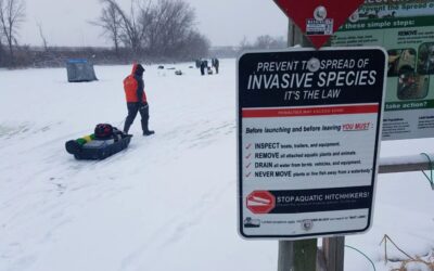 Consider Invasives while Ice Fishing