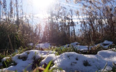 How Spring Can Affect our Land and Water