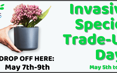 Annual Invasive Species Trade-Up Days