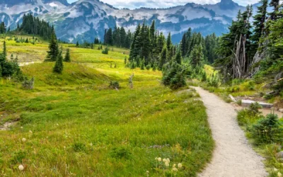 A Guide to America’s 11 National Scenic Trails