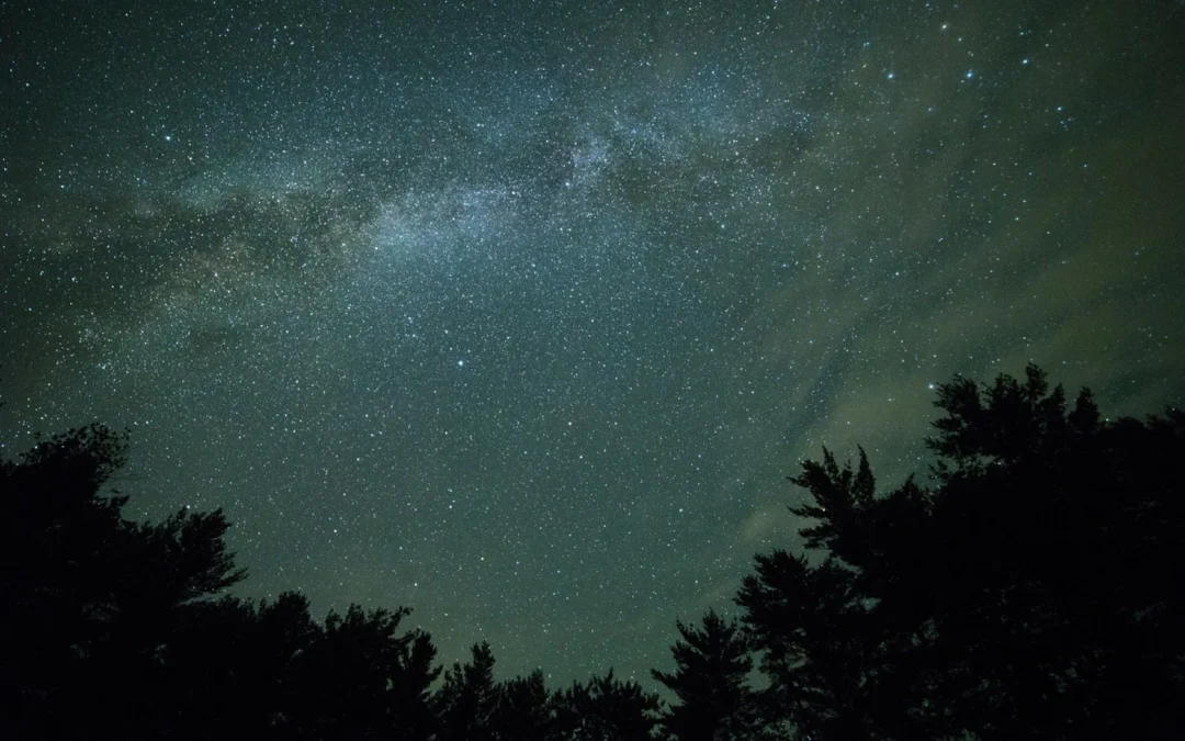 People encouraged to go “Lights Out” this weekend to help limit light pollution
