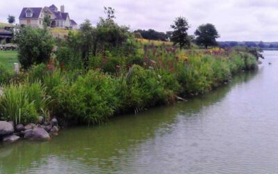 WI Healthy Lakes and Rivers Program