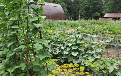 The Wisconsin Permaculture Convergence is coming to Rhinelander. Here’s what to know