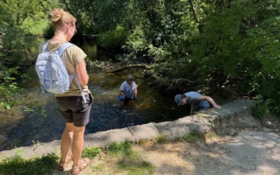 Snapshot Day invites people to search lakes and rivers for aquatic invasive species
