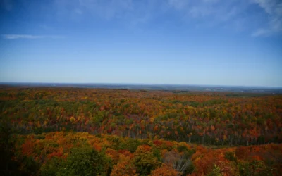 Bill aims to bring aviation biofuel facility to northern Wisconsin, help state forestry industry