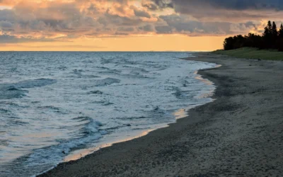 Scientists wonder if Lake Superior can continue to avoid an invasion of mussels