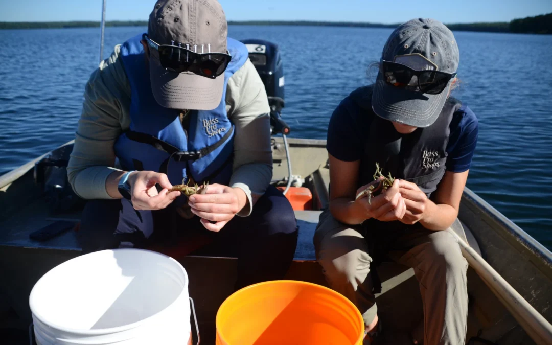 rout Lake Station has one of the most comprehensive lake data sets in the world. Federal changes are putting the future of it at risk