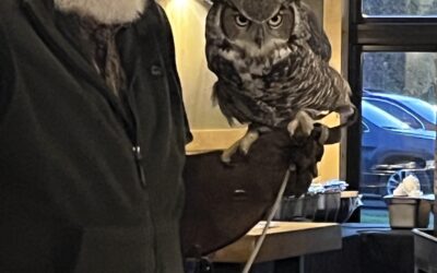 2025 FCAL Annual Meeting with Christian Cold