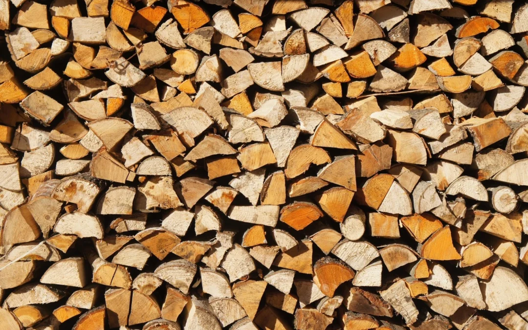 Get your firewood close to where you burn it to prevent the spread of invasive species