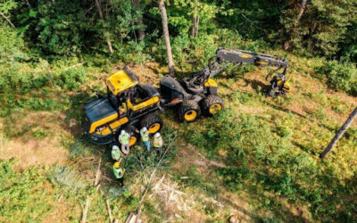 Forest Products Week in Wisconsin