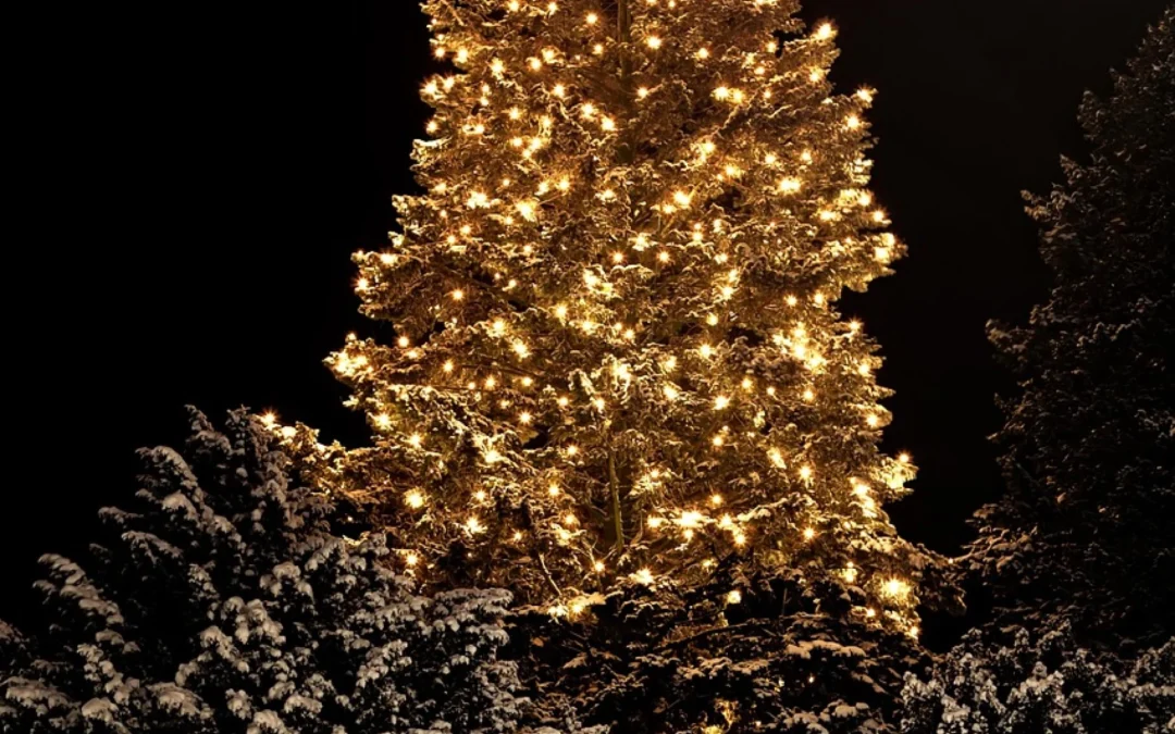 Avoid overloading your outlets and your power bill this Holiday season!