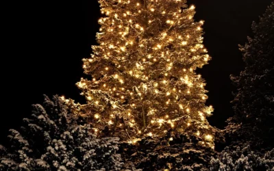 Avoid overloading your outlets and your power bill this Holiday season!