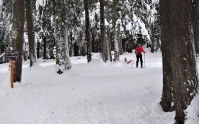 8 things to add to your Northwoods winter bucket list