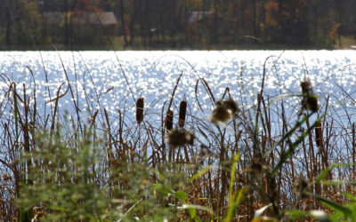 2025 Wisconsin Lakes Annual Membership Meeting