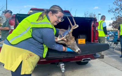 Chronic Wasting Disease threatens U.S. Deer. But when one state took strong measures, the pushback was fierce.