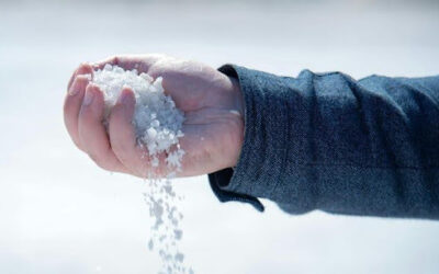 WI Salt Awareness Week