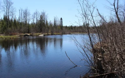 Wisconsin, tribes would have less power to review projects under proposed water rule