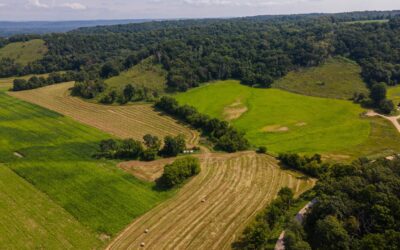 Stewardship program likely to expire after Wisconsin Senate fails to take up bills