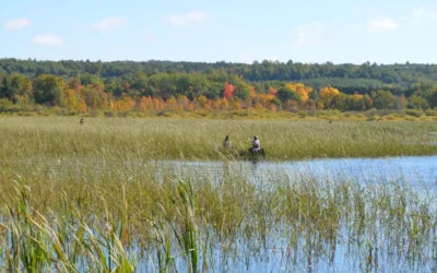 Vilas and Oneida Counties awarded over $1 mil in DNR surface water grants