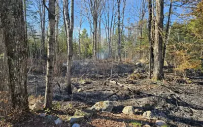 Rhinelander bans burning as fire danger level rises across northern Wisconsin