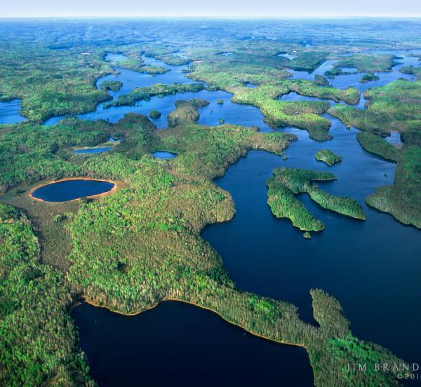 Aerial view of a labyrinth of forested islands and blue waterways in a sprawling wetland.