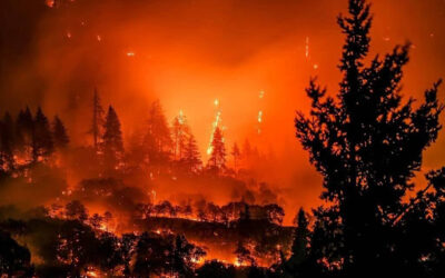 Wildfires