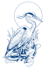 Lake Tides News Letter